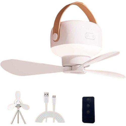 Ceiling Fan with Interl Battery, Adjustable Lighting and Fan Speed