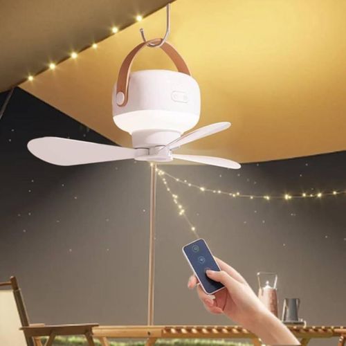Ceiling Fan with Interl Battery, Adjustable Lighting and Fan Speed